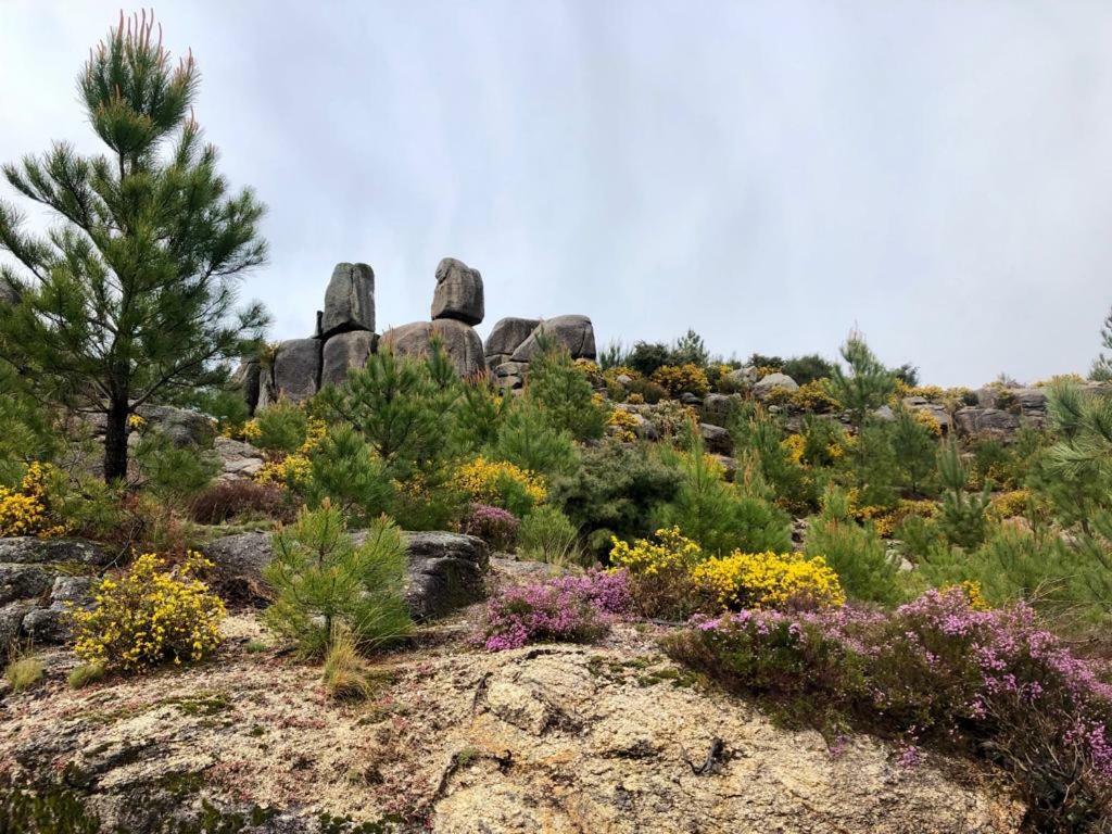 Quinta De Gestacos Villa Geres Dış mekan fotoğraf