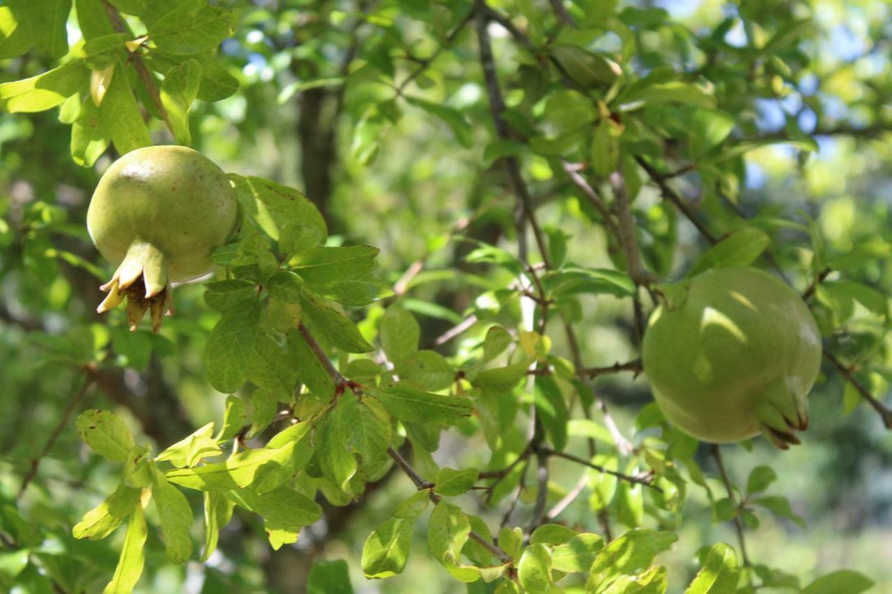 Quinta De Gestacos Villa Geres Dış mekan fotoğraf